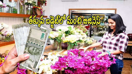 Business Ideas: రూ.1 లక్ష ఉంటే చాలు.. మస్త్ సంపాదించుకోవచ్చు.. బెస్ట్ బిజినెస్ ఐడియాలు ఇవే!