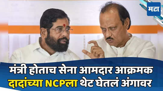 'त्या' पुन्हा येणार? शिवसेनेचा ठाम विरोध; गोगावलेंची दुसरी इच्छा, NCPला जोरदार दणका?