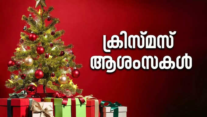 Merry Christmas Wishes 2024