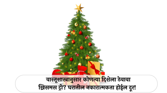 Vastu Shastra For Christmas Tree:  वास्तूशास्त्रानुसार कोणत्या दिशेला ठेवावा ख्रिसमस ट्री? घरातील नकारात्मकता होईल दूर!