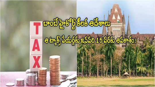 Income Tax: ఆ ట్యాక్స్ పేయర్లకు జనవరి 15 వరకు గడువు.. హైకోర్ట్ ఆదేశాలు.. రూ.25000 పొందే ఛాన్స్!