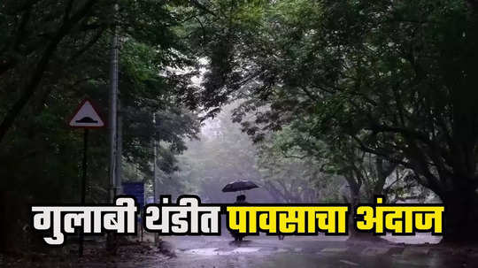 Maharashtra Weather : ऐन गारव्यात पावसाचा शिडकावा होणार, मेघगर्जनेसह पाऊस पडण्याची शक्यता, जाणून घ्या हवामान अंदाज