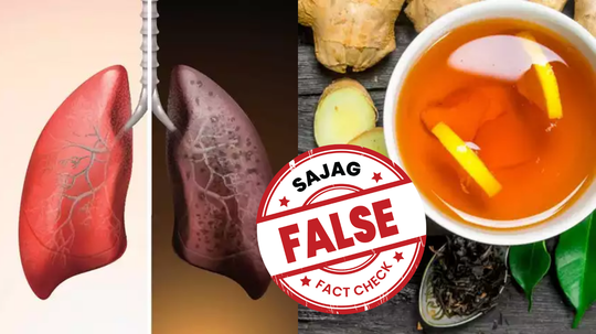 Lung Detox Drink Fact Check : சிகரெட்டால் பாதிச்ச நுரையீரல் கூட மஞ்சள் இஞ்சி மிளகு டீ குடிச்சா சரியாயிடுமா? உண்மையை உடைத்த டாக்டர்