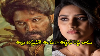 గు** నిండా టాలెంట్ ఉన్నప్పుడు.. గు**బలుపు ఉన్నా తప్పులేదు: బన్నీ ఇష్యూపై శ్రీసుధ ఊరమాస్ పోస్ట్