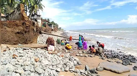 கடற்கரையில் குவியும் தங்கம்.. வேட்டையில் இறங்கிய மக்கள்.. வெளியான பகீர் தகவல்!