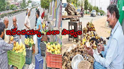 ఏపీలో విచిత్రం.. డిసెంబర్‌లోనే తాటి ముంజలు, మామిడి పండ్లు అమ్మేస్తున్నారు, కారణం తెలిస్తే!