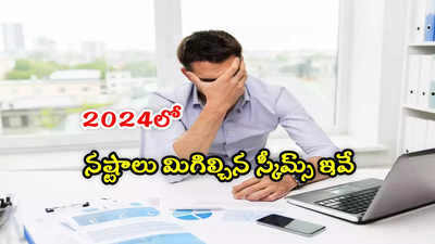 ఈ 2024లో నిండా ముంచిన మ్యూచువల్ ఫండ్స్ ఇవే.. ఏకంగా 20 శాతం మేర నష్టాలు!