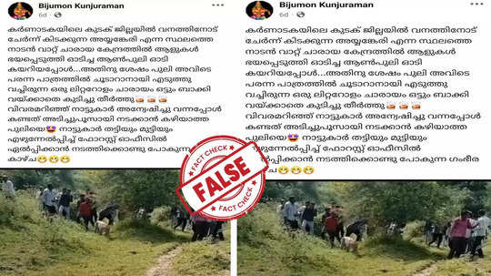 Fact Check: പ്രചരിക്കുന്നത് ചാരായം കഴിച്ച പുള്ളിപ്പുലിയുടെ വീഡിയോ ആണോ? യാഥാർഥ്യമിതാണ്