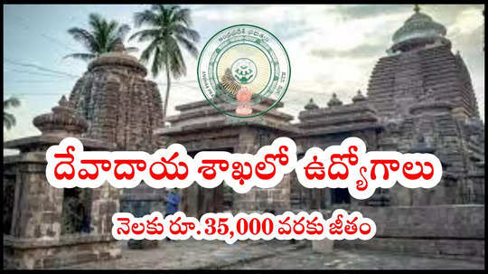 AP Jobs: ఆంధ్రప్రదేశ్‌ దేవాదాయ శాఖలో 70 ఉద్యోగాలు.. నెలకు రూ.35,000 వరకు జీతం.. BTech, BE, Diploma అర్హత