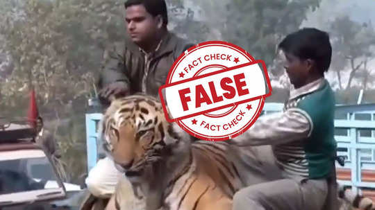 FACT CHECK: யானை மேல் ஏறி சவாரி செய்யும் புலி- பிகார் சம்பவம்... வீடியோ உண்மையா?