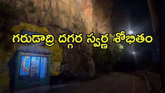 తిరుమల ఘాట్ రోడ్డులో సరికొత్త అనుభూతి.. స్వర్ణ శోభితమై భక్తులను‌ ఆకట్టుకుంటోంది