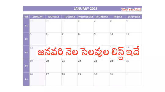 School Holidays in January 2025 : విద్యార్థులకు అలర్ట్‌.. జనవరి నెల సెలవుల లిస్ట్‌ ఇదే.. న్యూ ఇయర్‌, సంక్రాంతి, రిపబ్లిక్‌ డే ఇలా..