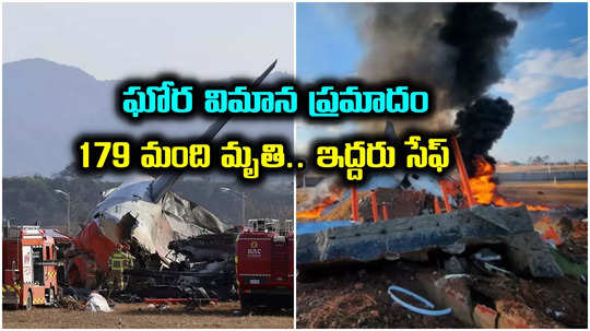 Plane Crash Deaths: దక్షిణ కొరియా విమాన ప్రమాదంలో 179 మంది మృతి.. ఇద్దరు సురక్షితం