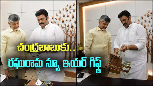 Chandrababu: సీఎం చంద్రబాబుకు రఘురామ న్యూ ఇయర్ గిఫ్ట్.. స్పెషల్ ఇదే..