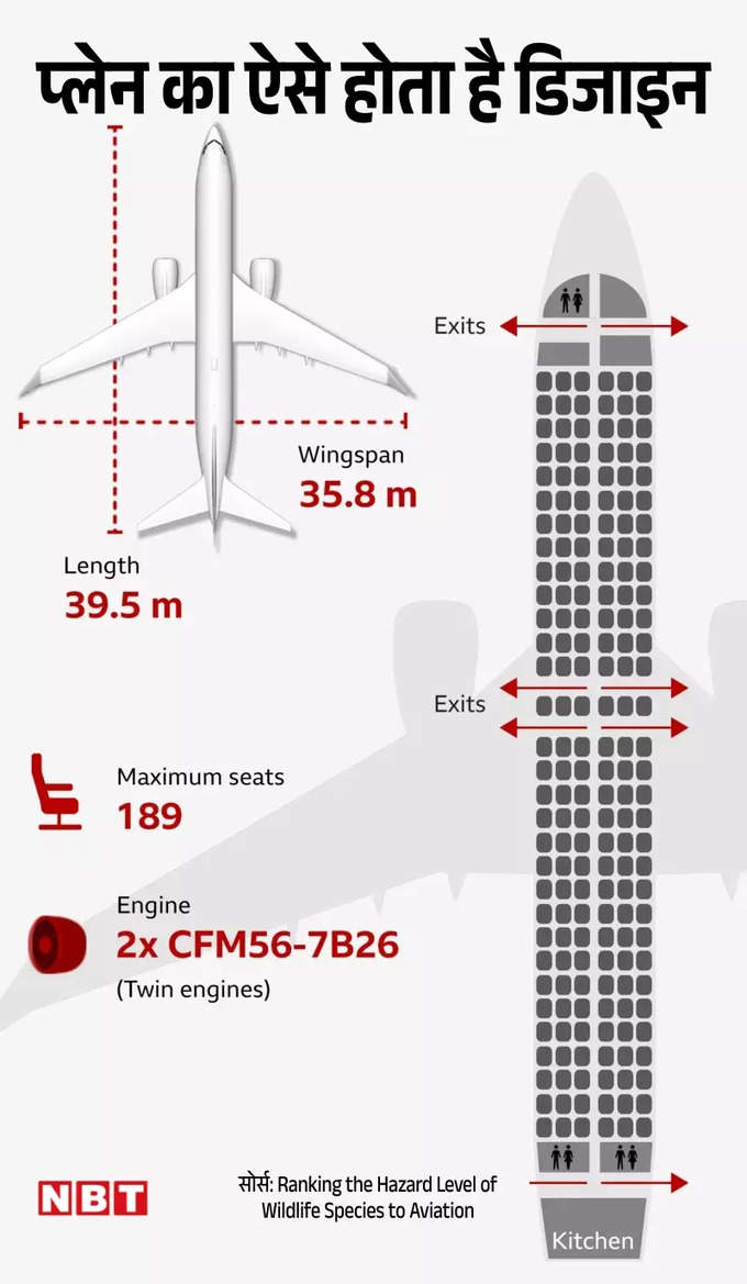 South Korea Plane Crash