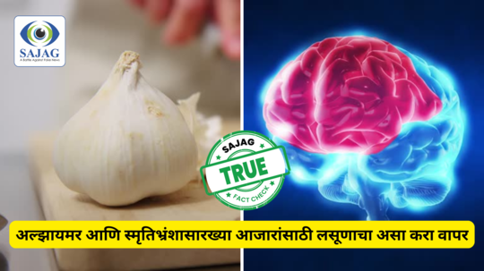 Fact check : अल्झायमर आणि स्मृतिभ्रंशासारख्या आजारांसाठी लसूणाचा असा करा वापर,डॉक्टरांनी सांगितला उपाय