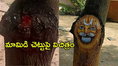 ఉండి: మామిడి చెట్టుపై అద్భుత సన్నివేశం.. ఆ దేవుడి మహిమ అంటున్న భక్తులు