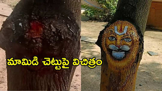 ఉండి: మామిడి చెట్టుపై అద్భుత సన్నివేశం.. ఆ దేవుడి మహిమ అంటున్న భక్తులు