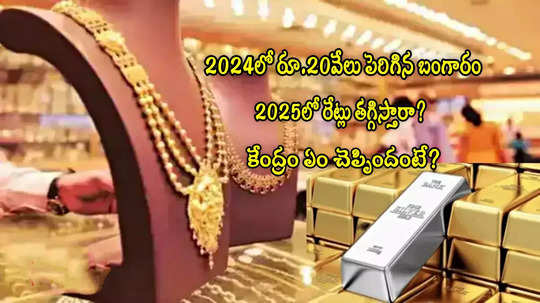 Gold Price Cut: బంగారం రేట్లు తగ్గించేందుకు.. కేంద్రం చర్యలు చేపట్టిందా? ఆర్థిక శాఖ క్లారిటీ