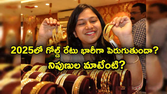 Gold Price Forecast: బంగారంపై బంపర్ రిటర్న్స్.. 2025లో తులం రూ. 90 వేలకు వెళ్తుందా? నిపుణులేం చెబుతున్నారు?