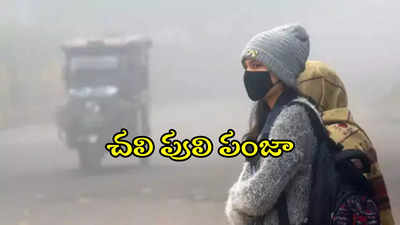 TG Weather: రాబోయే 5 రోజులు జాగ్రత్త.. వాతావరణ శాఖ హెచ్చరికలు