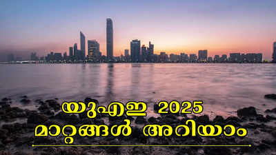 2025ൽ യുഎഇയിൽ പ്രാബല്യത്തിൽ വരുന്ന പ്രധാന നിയമങ്ങൾ, പിഴകൾ; അറിയേണ്ടതെല്ലാം