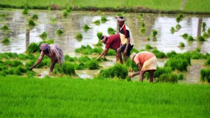 किसानों को मिलेगा ज्यादा लोन