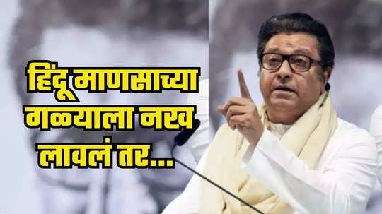 Raj Thackeray : नवीन वर्षाच्या सुरूवातीला राज ठाकरेंची गर्जना, हिंदू माणसाच्या गळ्याला नख लावलं तर...