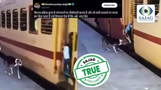 Fact Check  : ट्रेनमध्ये लटकणाऱ्या प्रवाशांवर भुंकतो कुत्रा, व्हायरल व्हिडीओचे सत्य