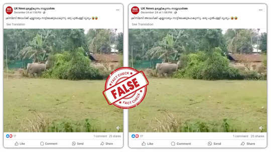 Fact Check: കാട്ടാനക്കൂട്ടം ഇറങ്ങിയ വെെറൽ വീഡിയോ പുല്‍പ്പള്ളിയില്‍ നിന്നുള്ളതാണോ?  യാഥാർഥ്യമിതാണ്