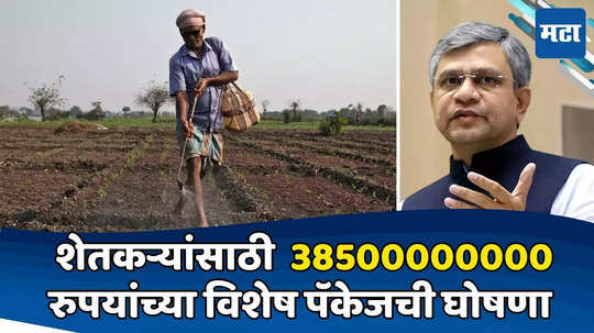 Government Subsidy: केंद्र सरकारची शेतकऱ्यांना नववर्षाची भेट; 38500000000 रुपयांच्या विशेष पॅकेजची घोषणा