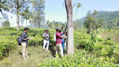 മുണ്ടക്കൈ - ചൂരല്‍മല ടൗണ്‍ഷിപ്പ് സർവേ ആരംഭിച്ചു; അഞ്ച് ദിവസത്തിനകം പൂര്‍ത്തീകരിക്കും