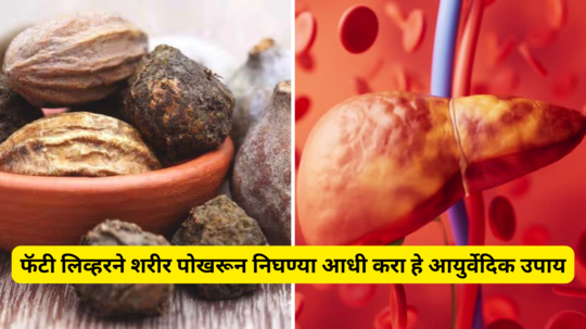 फॅटी लिव्हरने शरीर पोखरून निघण्या आधी करा हे आयुर्वेदिक उपाय, लिव्हरची सूजही होईल कमी