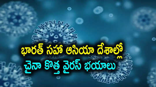 HMPV Virus: విస్తరిస్తున్న చైనా కొత్త వైరస్ వ్యాప్తి.. జపాన్‌, హాంకాంగ్‌లలో గుర్తింపు, ఆసియా దేశాల్లో గుబులు