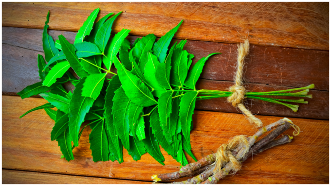 ಬೇವಿನ ಕಡ್ಡಿಗಳನ್ನು ಜಗಿಯುವುದು