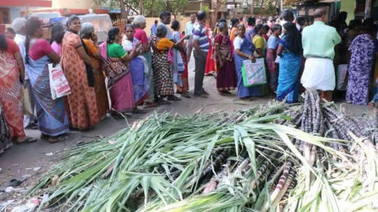 பொங்கல் பரிசு - கரும்பு கொள்முதல்: தமிழ்நாடு அரசு விவசாயிகளுக்கு முக்கிய அறிவுறுத்தல்!