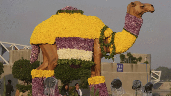 10 लाख से ज्यादा फूलों का प्रदर्शन