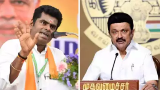 மாணவி பாலியல் வழக்கு: ஞானசேகரனை பாதுகாக்க திமுக முயற்சி! அண்ணாமலை கடும் தாக்கு