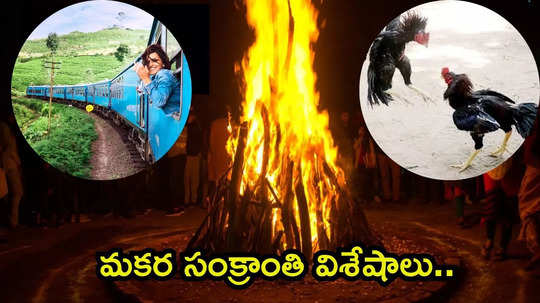 Makar Sankranti 2025 సంక్రాంతి ఎందుకు జరుపుకుంటారు.. ఈ పండుగ వేళ పల్లెటూరి బాట పట్టేందుకు గల కారణాలేంటో తెలుసా...