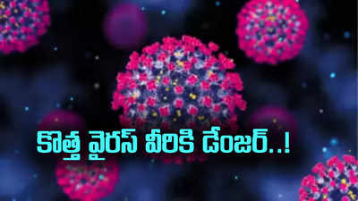 కొత్త వైరస్‌పై భయాందోళనలు.. ఏపీ ప్రజారోగ్యశాఖ కీలక సూచనలు..