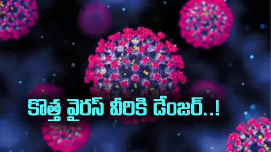 HMPV Virus: కొత్త వైరస్‌పై భయాందోళనలు.. ఏపీ ప్రజారోగ్యశాఖ కీలక సూచనలు..