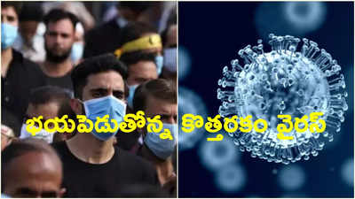 HMPV Cases: చైనాతో పాటు మలేషియాలోనూ కొత్త వైరస్.. ప్రభుత్వం కీలక గైడ్‌లైన్స్ జారీ