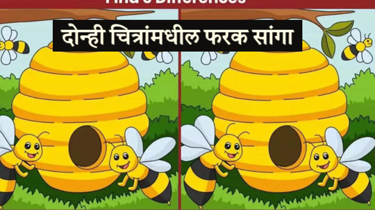 २ मधमाशांच्या पोळ्यांमध्ये आहेत ३ फरक, हुशार असाल तर ते फरक १० सेकंदात शोधून दाखवा