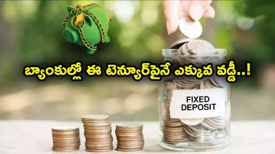 High FD Rates: టాప్ వడ్డీ రేట్లు ఈ టెన్యూర్ డిపాజిట్లపైనే.. పబ్లిక్, ప్రైవేట్, స్మాల్ ఫైనాన్స్ బ్యాంకుల ఆఫర్..