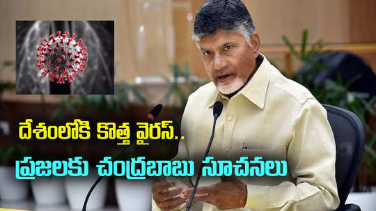 HMPV Virus: కొత్త వైరస్ వ్యాప్తిపై చంద్రబాబు టెలీకాన్ఫరెన్స్.. అధికారులకు కీలక ఆదేశాలు