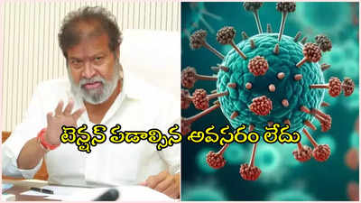 HMPV వైరస్.. అలా చేస్తే సీరియస్ యాక్షన్, మంత్రి దామోదర హెచ్చరిక