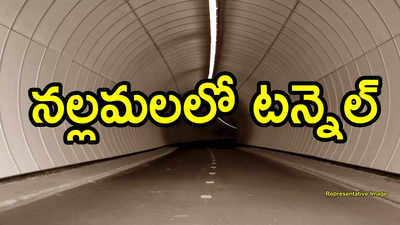 AP News: నల్లమల అడవుల్లో అండర్ గ్రౌండ్ టన్నెల్‌.. ఆ ప్రాజెక్ట్ కోసం సరికొత్త ప్లాన్!