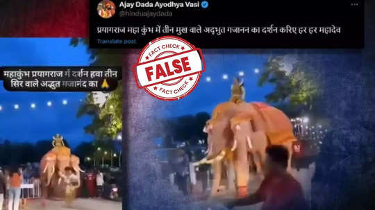 Fact Check : महाकुंभ मेळ्यात तीन तोंड असलेला हत्ती फिरतोय? व्हायरल व्हिडिओचं सत्य काय?