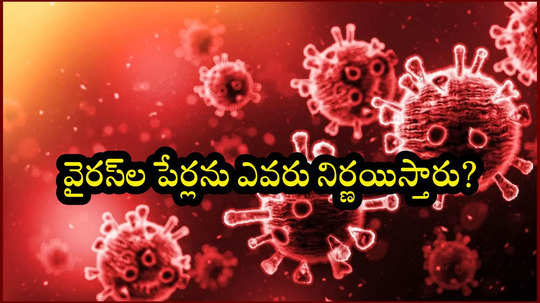 HMPV పేరు ఎలా వచ్చింది.. హెచ్‌ఎంపీవీ వైరస్‌ పూర్తి రూపం ఏంటి? వైరస్‌ల పేర్లను ఎవరు నిర్ణయిస్తారు?