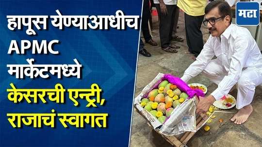 देवगडमधून केसर आंब्याची पहिली पेटी APMC फळबाजारात दाखल, विधिवत पूजेनंतर हंगामाला सुरुवात